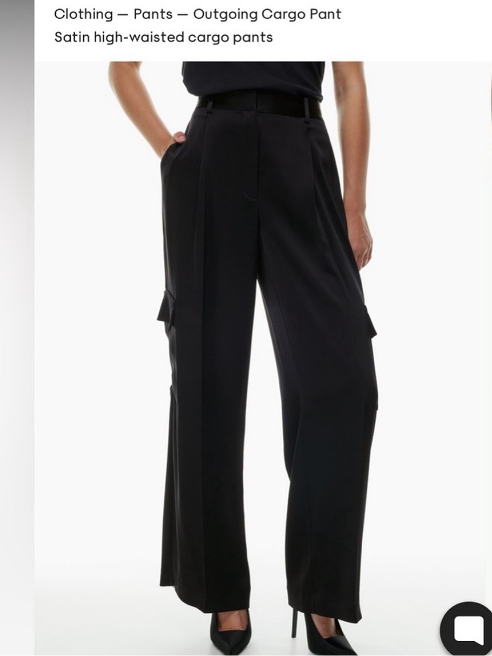 aritzia❣️babaton outgoing satin cargo pants